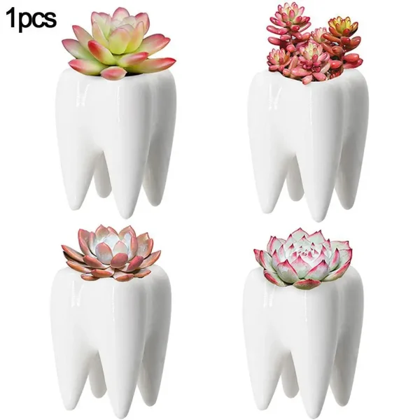 1 Pcs Cute Tooth-Shaped Ceramic Flowerpot - Image 3