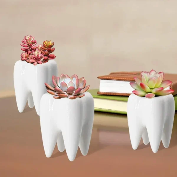 1 Pcs Cute Tooth-Shaped Ceramic Flowerpot - Image 4