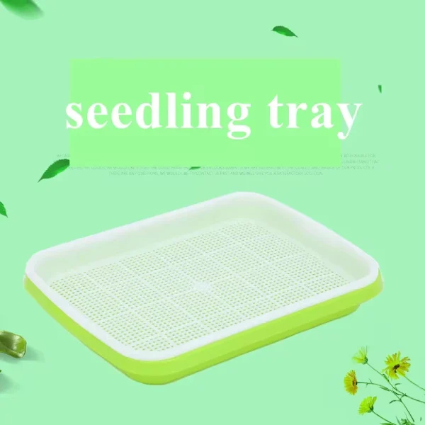 Portable Soilless Hydroponic Bean - Image 4