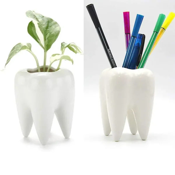 1 Pcs Cute Tooth-Shaped Ceramic Flowerpot