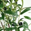 88cm Artificial Olive Tree for Hotel & Home Decor 3