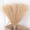 Pampas Grass Bouquet for Bedroom & Wedding Decor 4