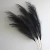 3PCS 39'' Pampas Grass for Boho & Rustic Charm 6