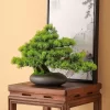 DIY Potted Bonsai 2