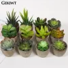 Mini Evergreen Artificial Succulent Plants 2