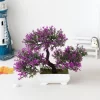 Mini Bonsai Tree – Elegant Potted Décor for Home & Office 4