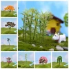 Rural Style Sakura Miniature Trees 5