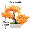 Kahaul Artificial Bonsai Tree for Office & Party 6