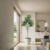 Set of 2 Artificial Fiddle Leaf Fig Trees 5