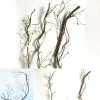 90/180CM Tree Branches Artificial Rattan 5