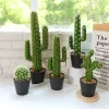 30-43cm Artificial Cactus 6