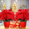 2 Bundles Poinsettia – Christmas Faux Flowers for Decor 3