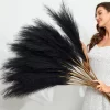 3PCS 39'' Pampas Grass for Boho & Rustic Charm 2