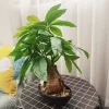 43cm Artificial Monstera Tree Potted Fake Tropical Money Plants 3