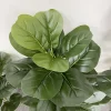 59in Large Ficus Tree Artificial Plants 3