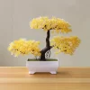 Colorful Bonsai with Flowers for Christmas Decor 3