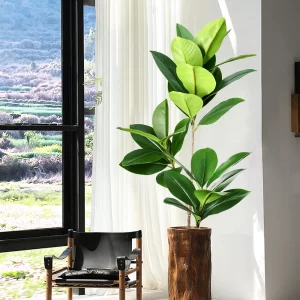 74-140cm Large Ficus Tree with Magnolia Leaves 1