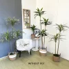 Artificial Dracaena Plant Indoor Ornament 6