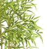 Artificial Bamboo Tree with Real Trunk & Lifelike Leaves 3