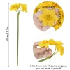 6PCS Narcissus Bunch for Garden-Inspired Decor 6