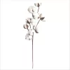 Naturally Dried Cotton Branch for Wedding, Garden & Party Decorations 6