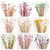 50Pcs Dried Flowers – Natural Floral Photography & Home Decor 2