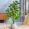 50-75cm Fake Palm & Monstera Leaves 4