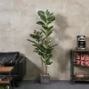 5ft Artificial Rubber Tree 6