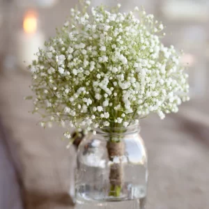 30-Head Gypsophila – Artificial Baby’s Breath Bouquet 1