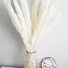 Dried Pampas Grass & Rabbit Tail Bouquet 5