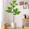 76-135cm Artificial Magnolia & Rubber Fig Tree 4