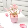 5PCS Mini Pink Potted Flowers for Desktop & Shelf Decor 5