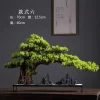 Welcome Pine Bonsai Desk Ornament 6