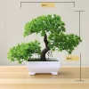 Potted Pine Bonsai for Table & Office Decoration 4