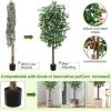 Tall Artificial Ficus Tree 4