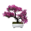 Small Potted Bonsai for Weddings & Home Decor 2