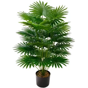 Large Palm Tree Bonsai 1