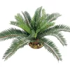 45cm Tropical Cycad Branch 2