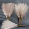 55CM 10Pcs Fluffy Pampas Grass for Boho Wedding & Home Decor 2