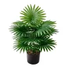 Large Palm Tree Bonsai 4