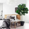 GlowSol Artificial Fiddle Leaf Fig Tree (5.2 Ft) 4