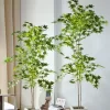 Artificial Maple Tree Fake Japanese Plants 3