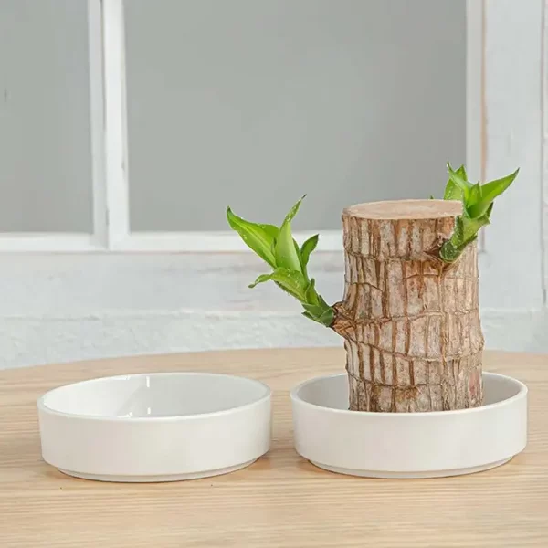 Brazilian Wood Plant Tray Holder 1