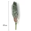 45cm Tropical Cycad Branch 5