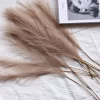 55CM 10Pcs Fluffy Pampas Grass for Boho Wedding & Home Decor 4