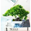 Artificial Pine Bonsai for Wedding & Home Decor 2