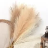 90/120cm Fluffy Pampas Grass – Wedding & Home Table Decor 5