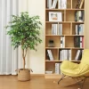 Artificial Ficus Tree with Natural Wood Trunk 3