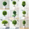 Potted Pine Bonsai for Table & Office Decoration 3