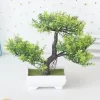 Potted Artificial Bonsai for Garden & Hotel Decor 4